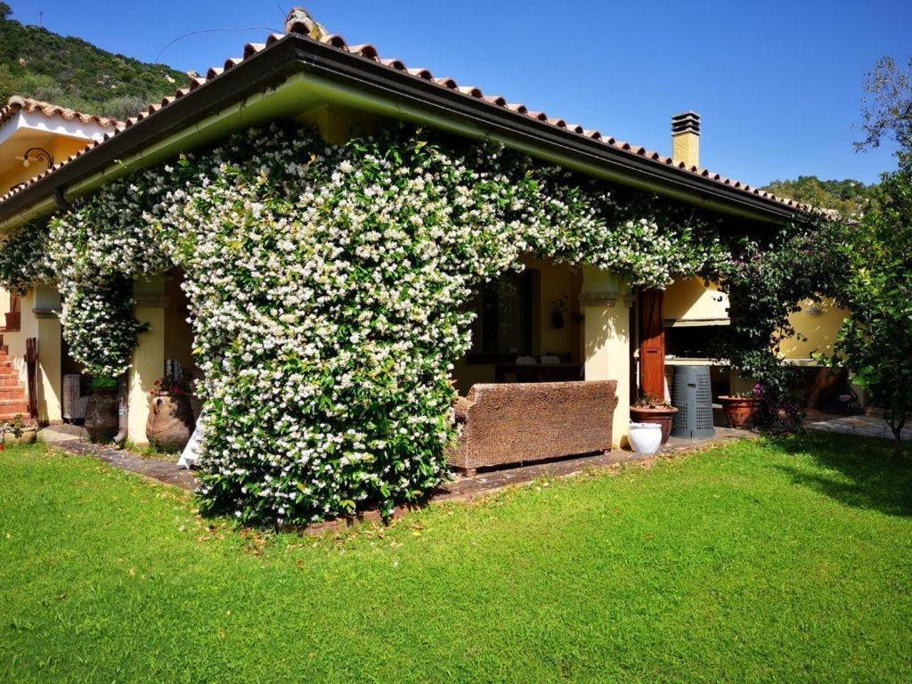 Villa Emilietta Villasimius Εξωτερικό φωτογραφία